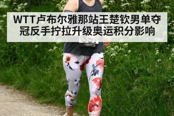 WTT卢布尔雅那站王楚钦男单夺冠反手拧拉升级奥运积分影响